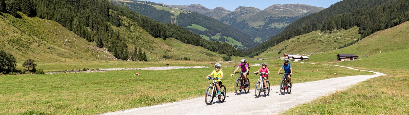Familie die fiets door de bergen in het Zillertal