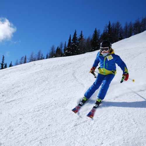 Skiër op piste