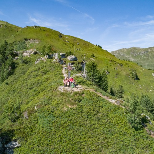 Familie wandeling zomer